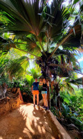 /album/fotogaleria-seychely-zajazd-vy-a-my/seychely-zajazd-37-jpg1/